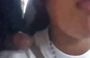 XXX زیبا, لزبین سایت سکسی سقوط من هر کس و گربه لیسید